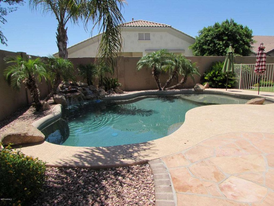 Beautiful Pool