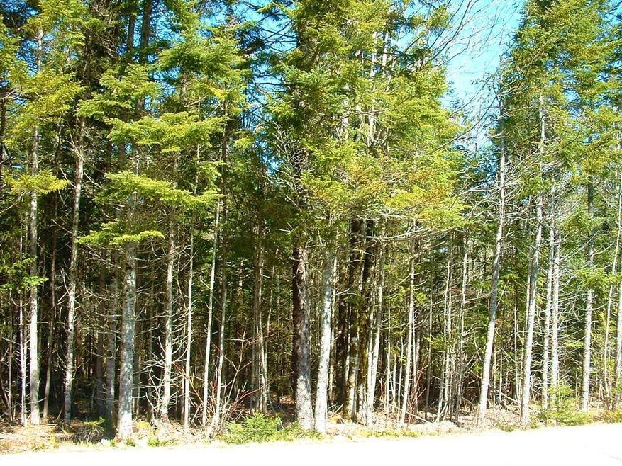 View of Lot