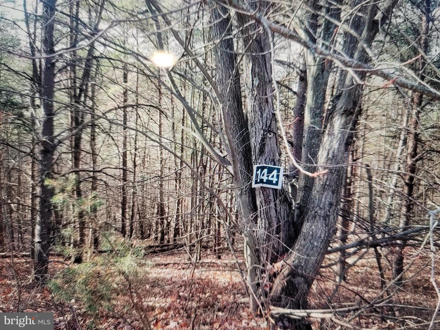 Lot 144 Trough View, Moorefield, WV 26836 - photo 1