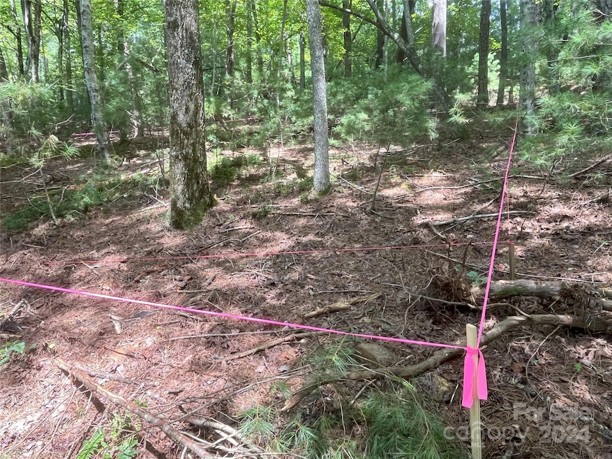 Staked House site (view 1) approved aleady for Septic and construction!