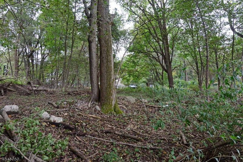 97 Bartholdi Ave, Butler, NJ 07405 - photo 1