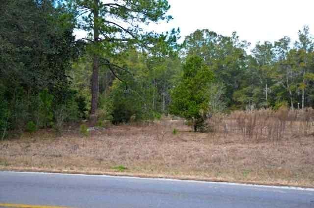 0 Oak Ridge Rd W, Tallahassee, FL 32305 - photo 1