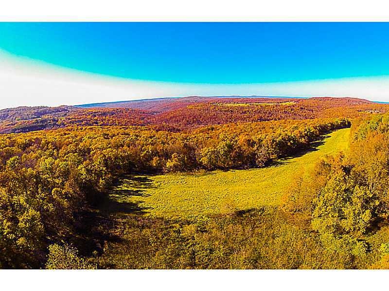 14607 Truelove Rd, West Fork, AR 72774 - photo 1