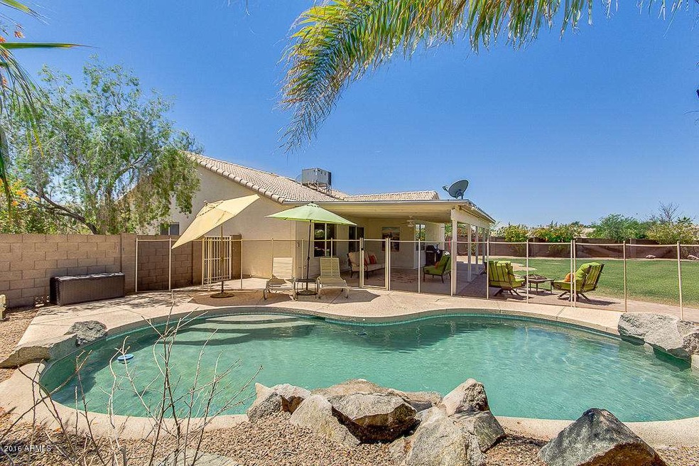 Best Back Yard in the East Valley