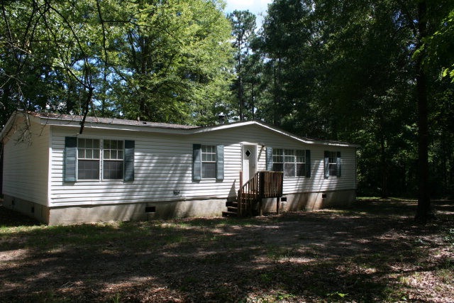 Main View