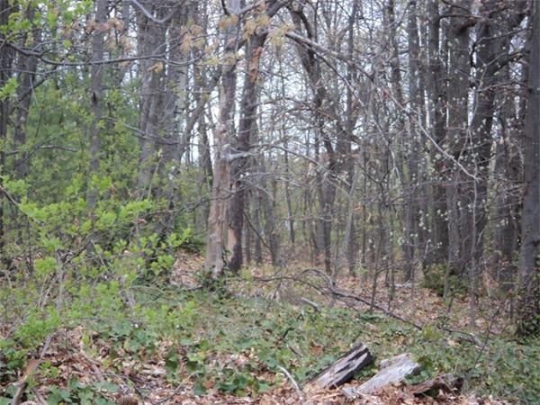 21 Coleman St, Lawrence, MA 01843 - photo 1