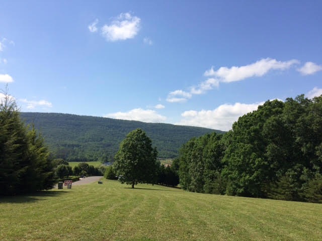 Lot 20, view from