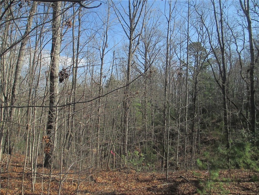 780 Jumping Branch Rd, Tamassee, SC 29686 - photo 1