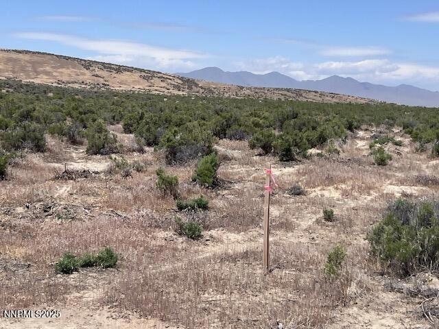 08-0592-03 Taylor Street Button Point, Golconda, NV 89414 - photo 1