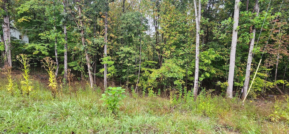 For Sale $19,500 • Co-Listing Agent