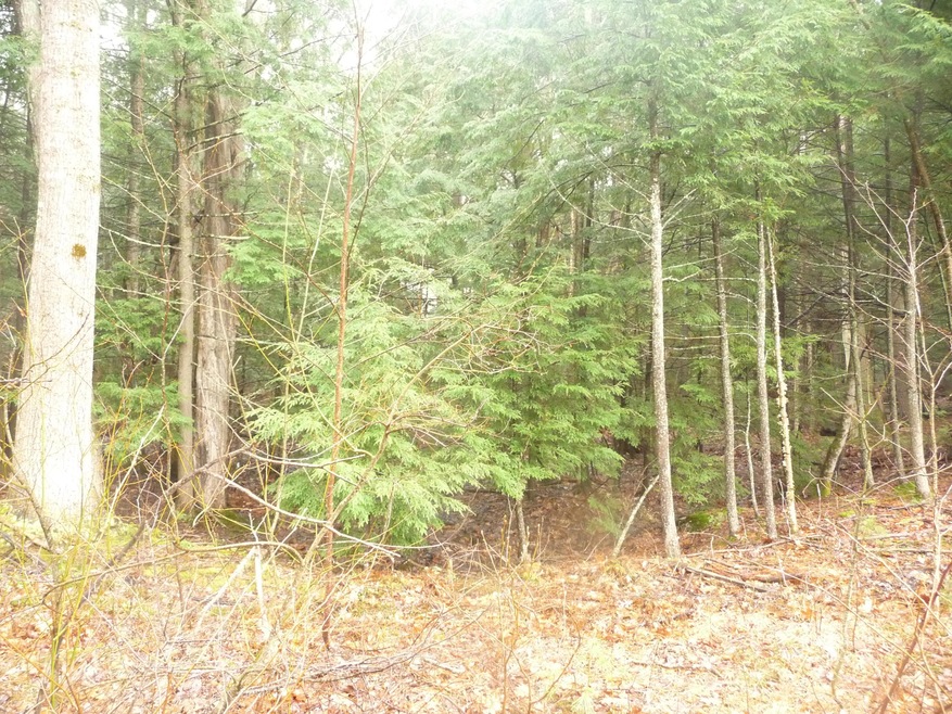 P1160742