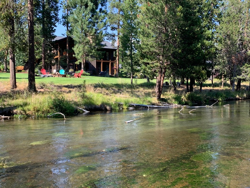 River Shot 1