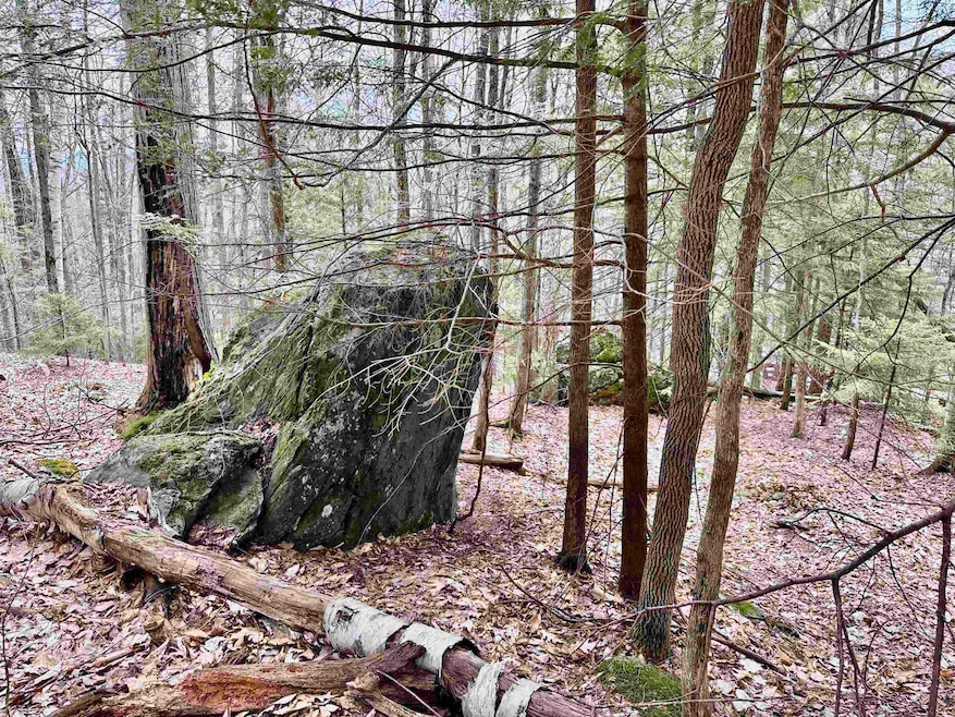 0 Taylor Rd, Fletcher, VT 05448 - photo 1