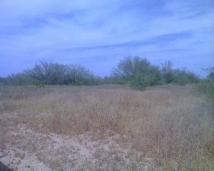 LAND PHOTO