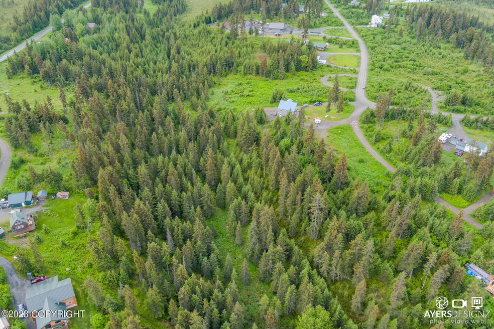 34960 Seabury Ct, Anchor Point, AK 99556 - photo 1