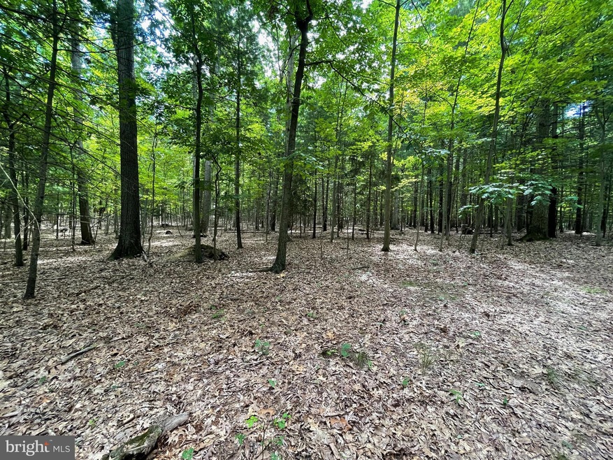 0 White Church Rd, Shippensburg, PA 17257 - photo 1