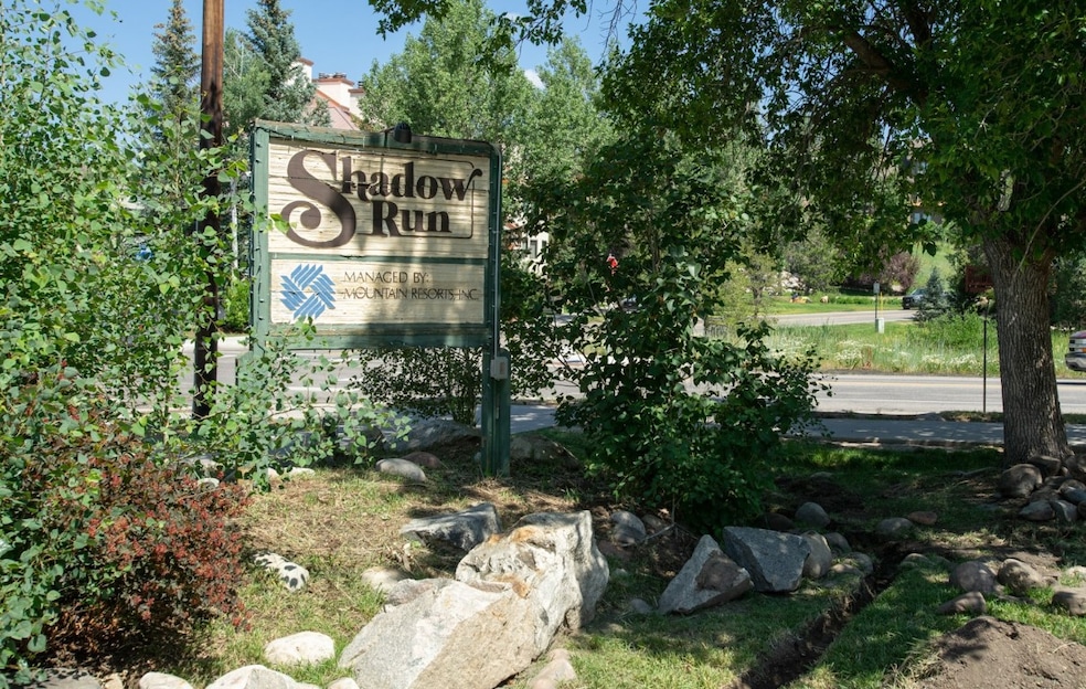 Shadow Run D301