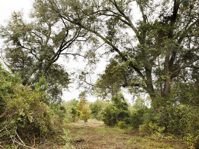 0000 Dixie-Barwick Rd, Boston, GA 31626 - photo 1