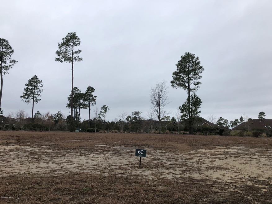 1416 Cross Water Cir, Leland, NC 28451 - photo 1