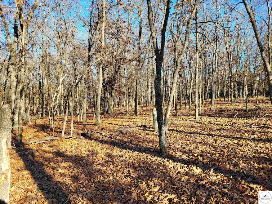 0 Wolcott Cir unit Lot 3823,3824 & 391, Union Township, MO 65326 - photo 1