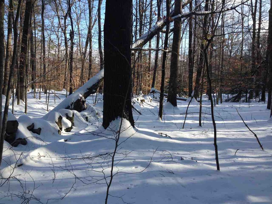 unlisted-address, Moultonborough, NH 03254 - photo 1