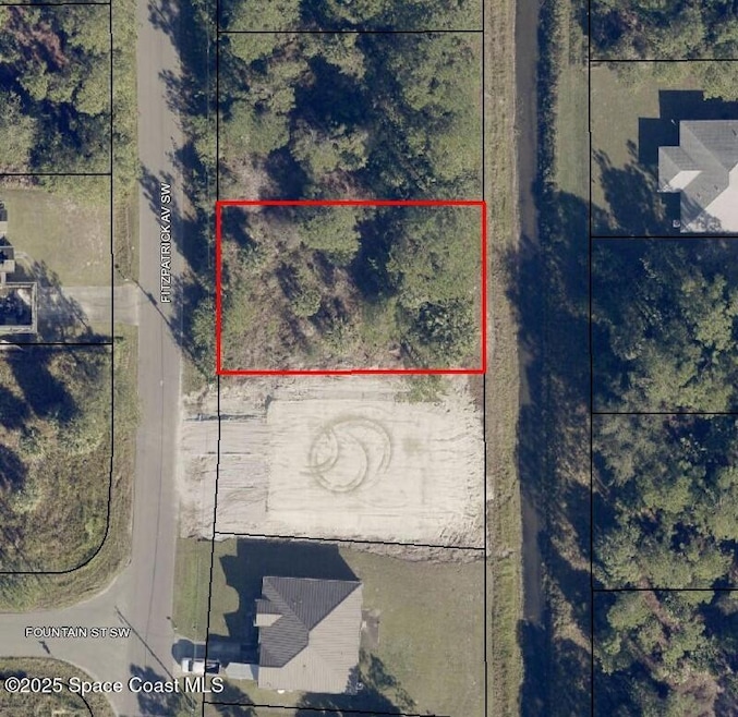 2837 Fitzpatrick Ave SW, Palm Bay, FL 32908 - photo 1