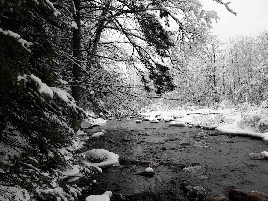 1304 Vermont Route 100 unit Lot 4 - riverfront, Readsboro, VT 05350 - photo 1