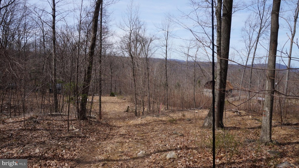 Off Cold Run Valley Rd, Berkeley Springs, WV 25411 - photo 1