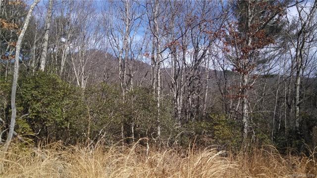 Mountain Views through trees