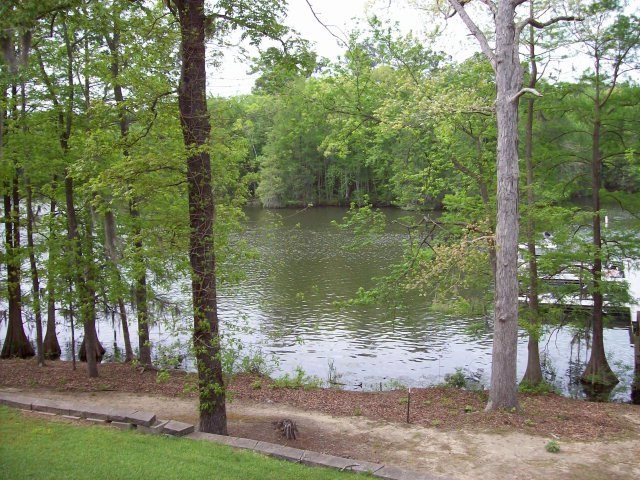 Main View