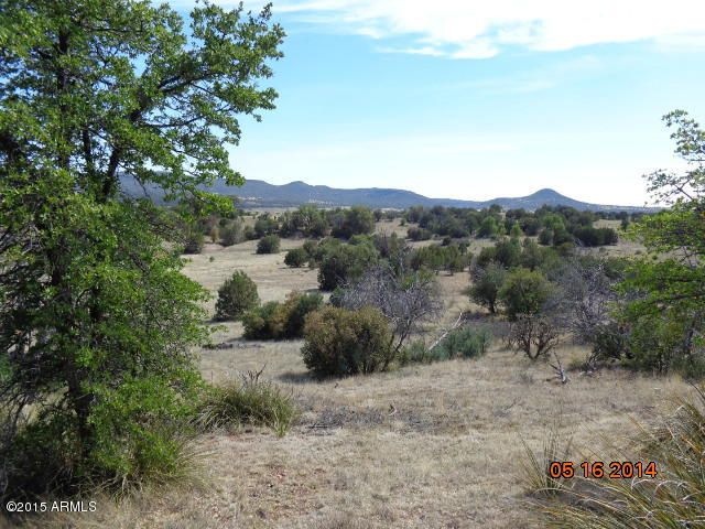View across forest land to SW