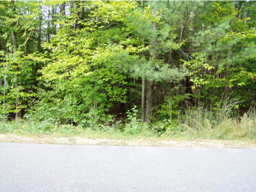 17-21 Beaver, Strafford, NH 03884 - photo 1