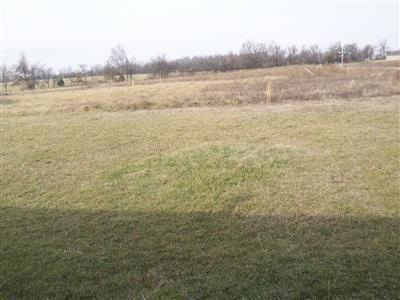 Primary Photo