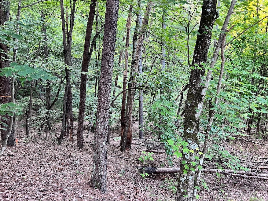 000 Hawks Terrace, Lake Lure, NC 28746 - photo 1