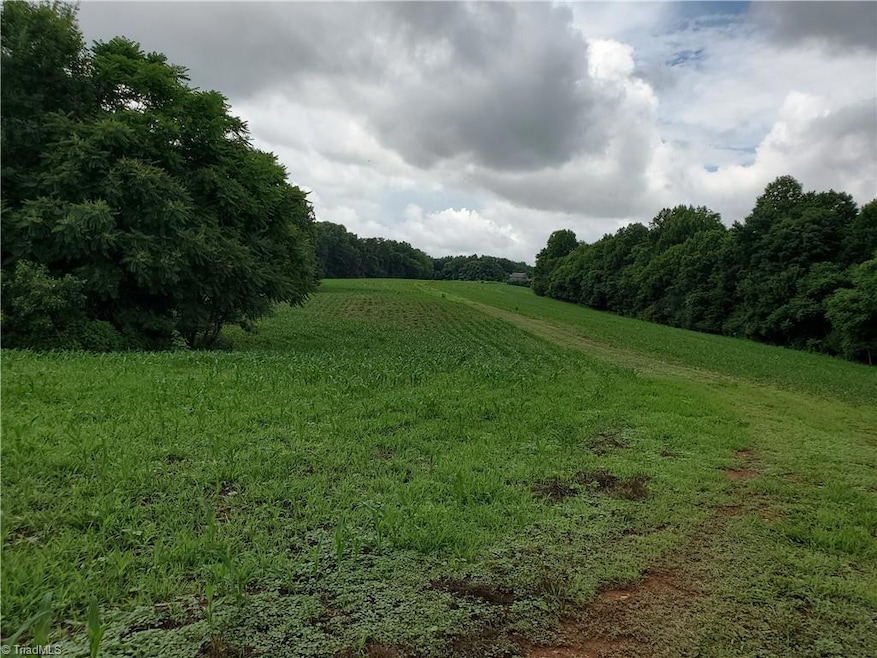 429 Harbour Ln, Dobson, NC 27017 - photo 1