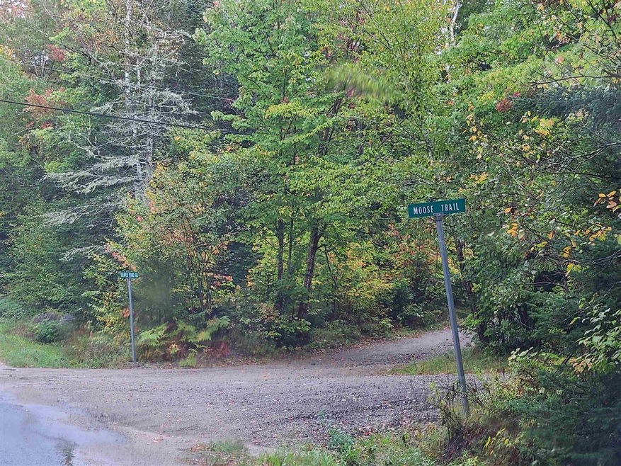 0 Moose Trail Rd unit 4884195, Bethlehem, NH 03574 - photo 1