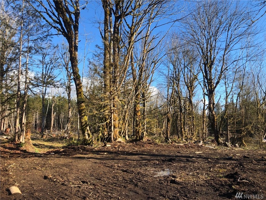 22 Nickelbush Rd, Quilcene, WA 98376 - photo 1