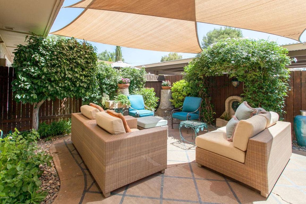 Back Patio