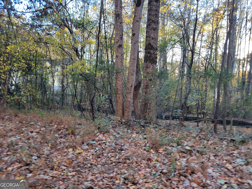 5008/4998 Hidden Branch Dr, Sugar Hill, GA 30518 - photo 1