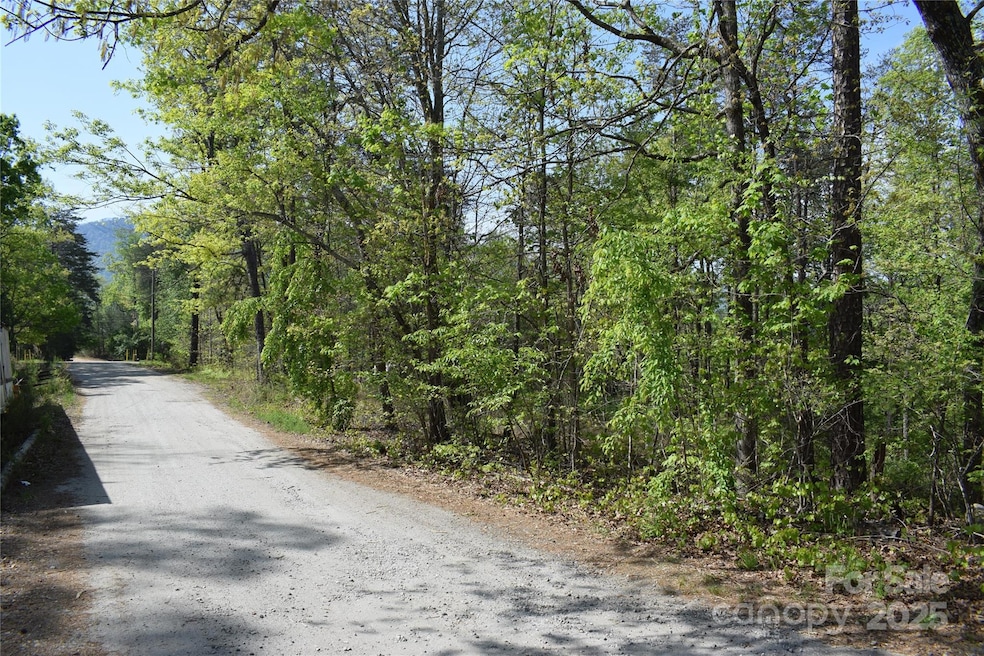 0 Winter Ln unit Lot 7 CAR4280434, Mill Spring, NC 28756 - photo 1