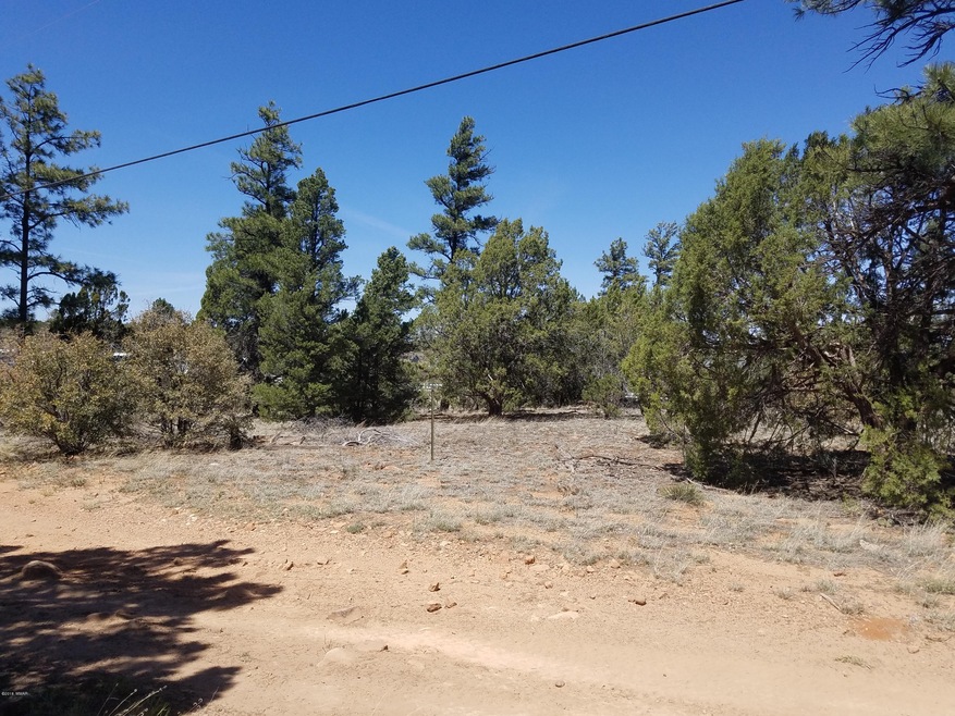 Lot View
