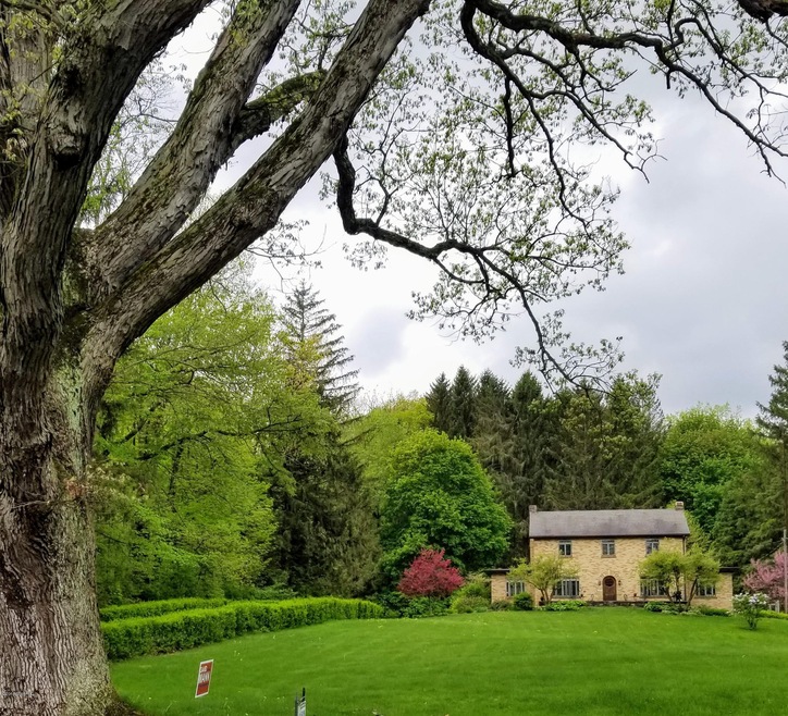 20180515_154507 (1)
