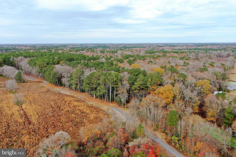 Parcel #169 Georgetown Rd, Berlin, MD 21811 - photo 1