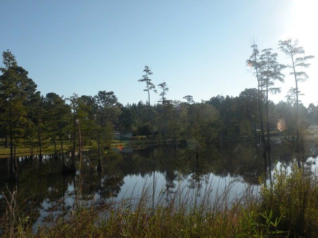 00 Forest Hills Dr unit 58,59, Douglas, GA 31535 - photo 1