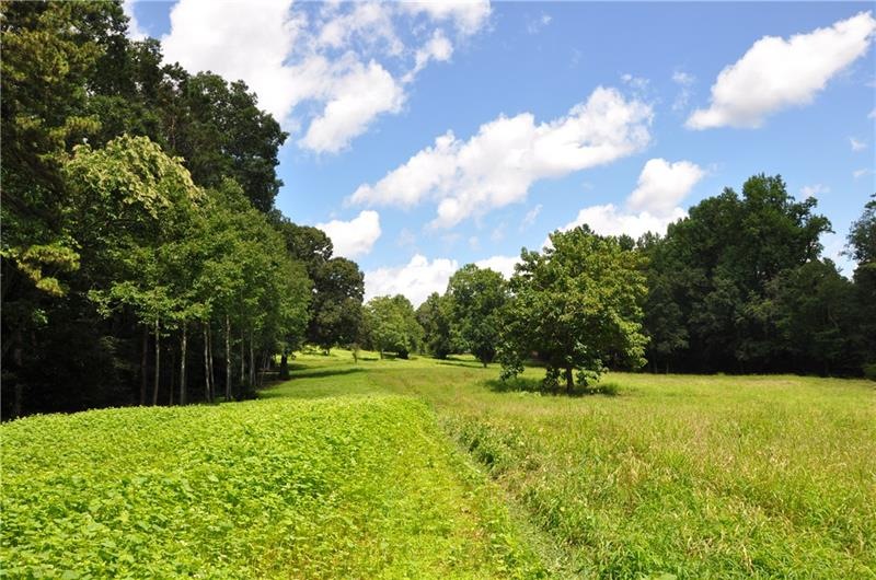 3883 Clarks Bridge Rd, Gainesville, GA 30506 - photo 1