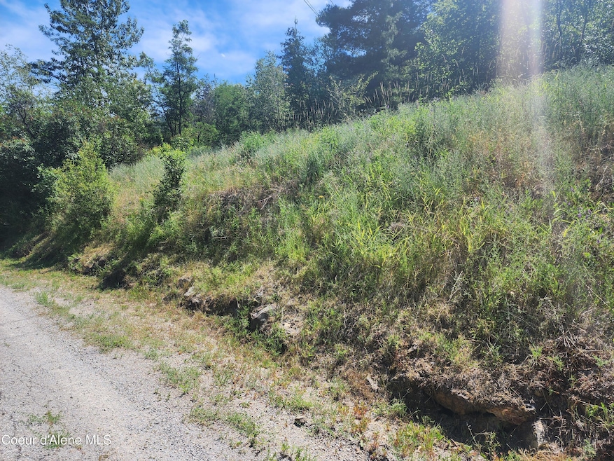 NKA Stahl St, Kellogg, ID 83837 - photo 1