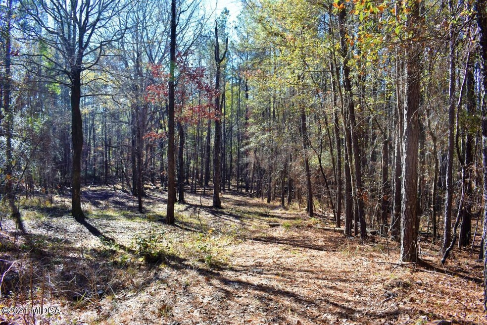 158 Doe Ct, Gray, GA 31032 - photo 1