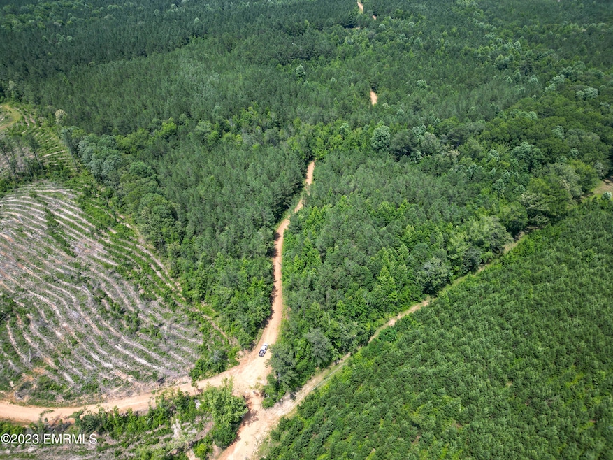 0 Rd, Noxapater, MS 39346 - photo 1