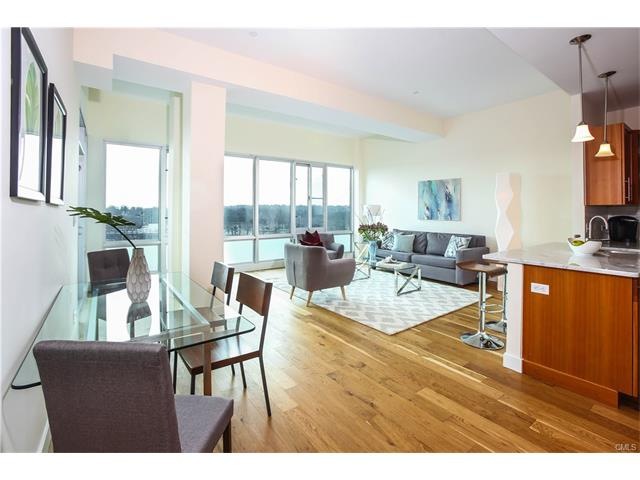 The Metropolitan unit 801, Stamford, CT 06905 - photo 1