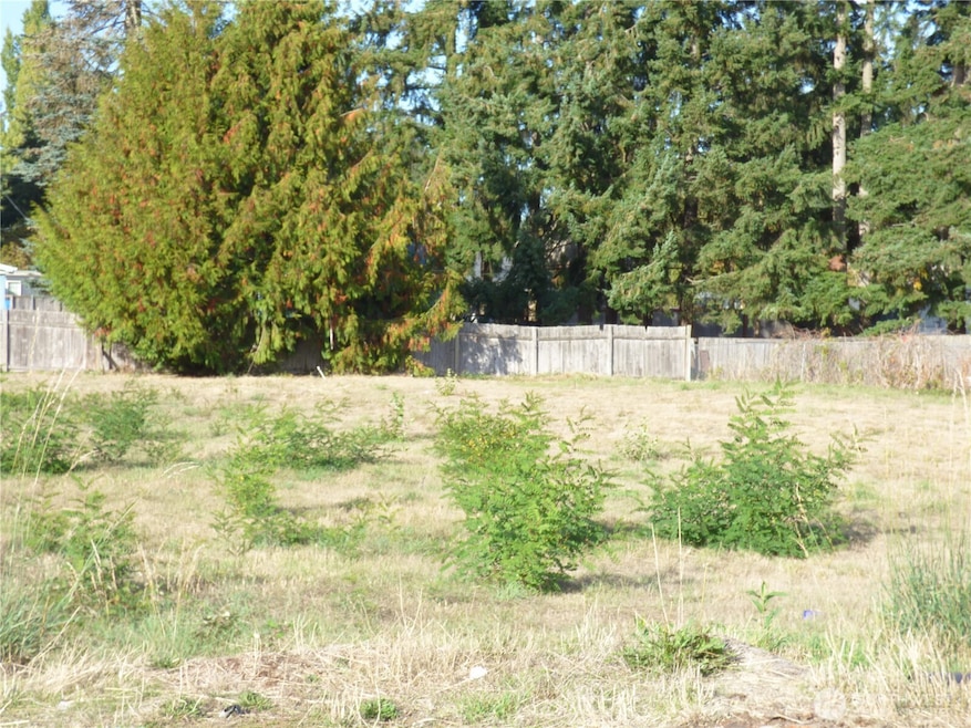 239 170th St E, Spanaway, WA 98387 - photo 1